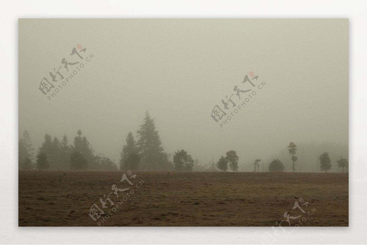 早晨的雾图片