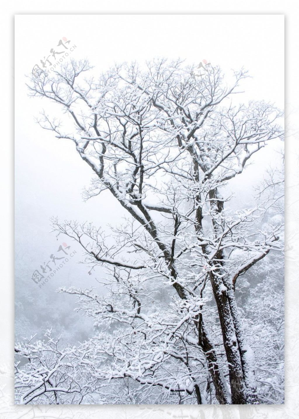 雪景图片