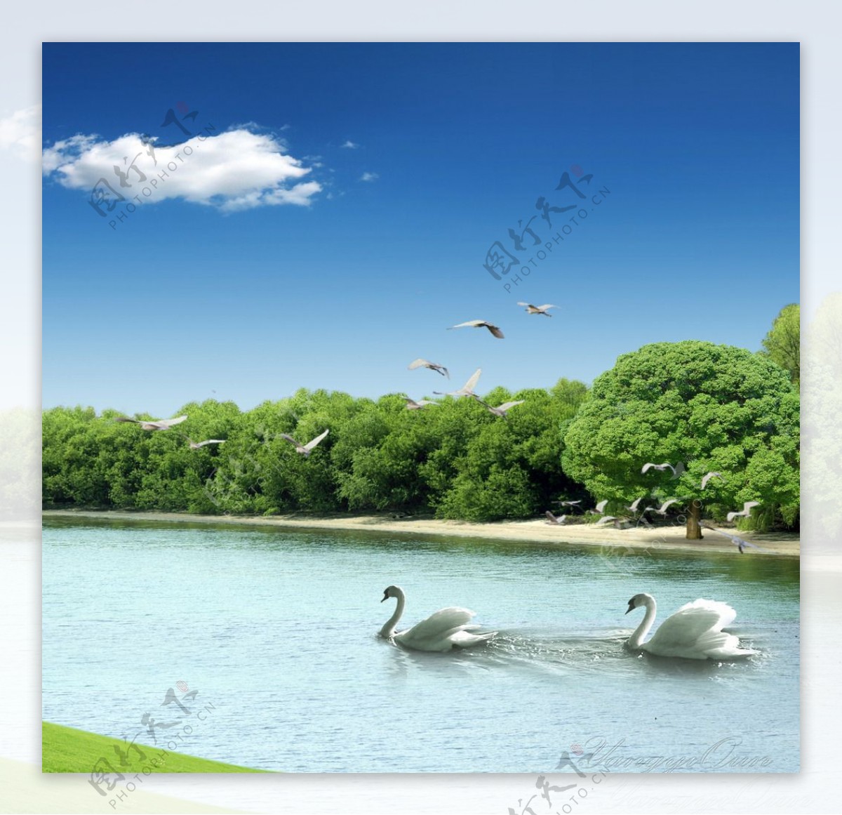 鸭子湖水风景图片