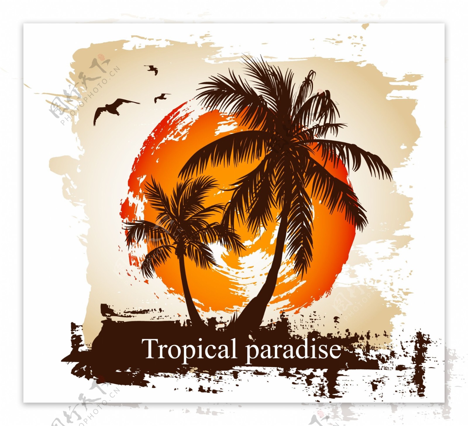 椰子树夏季旅游图片