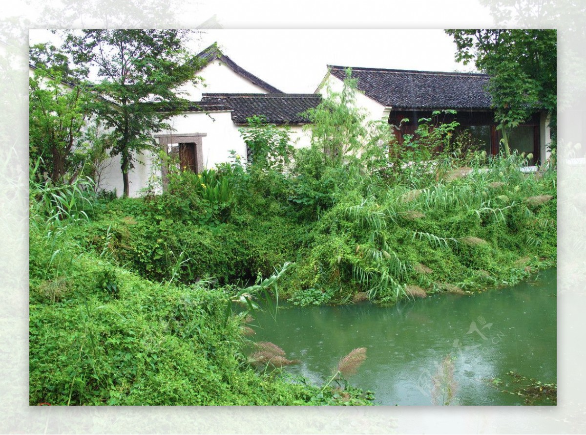 风景绿水村庄图片