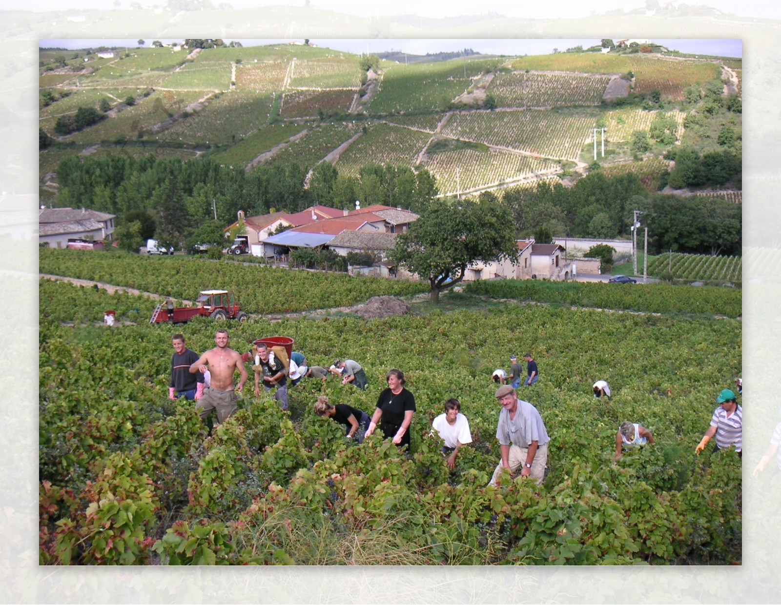 法国手工葡萄酒图片