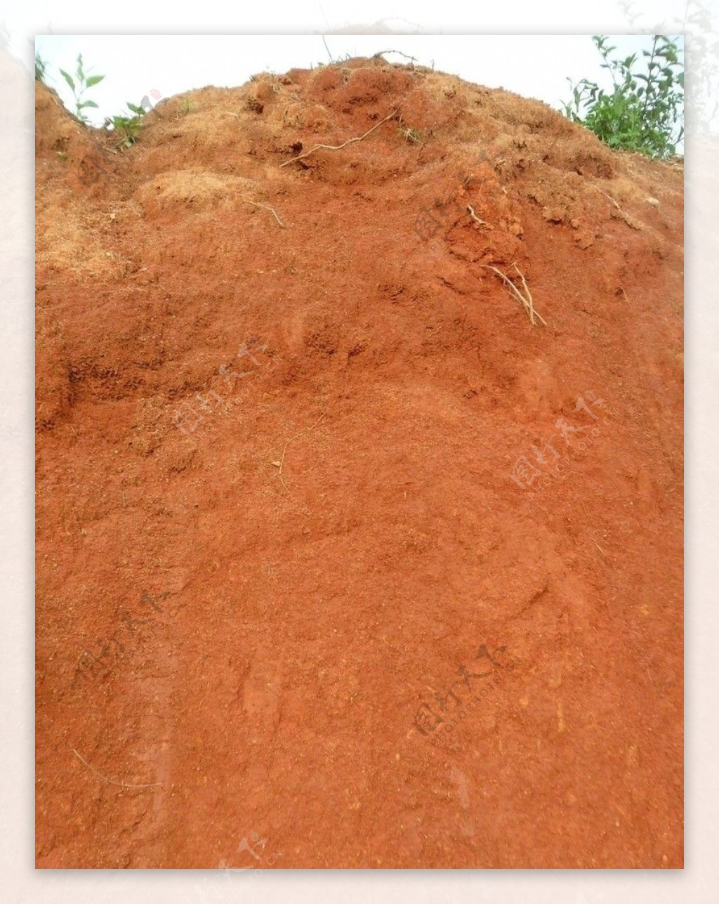 红色土壤图片