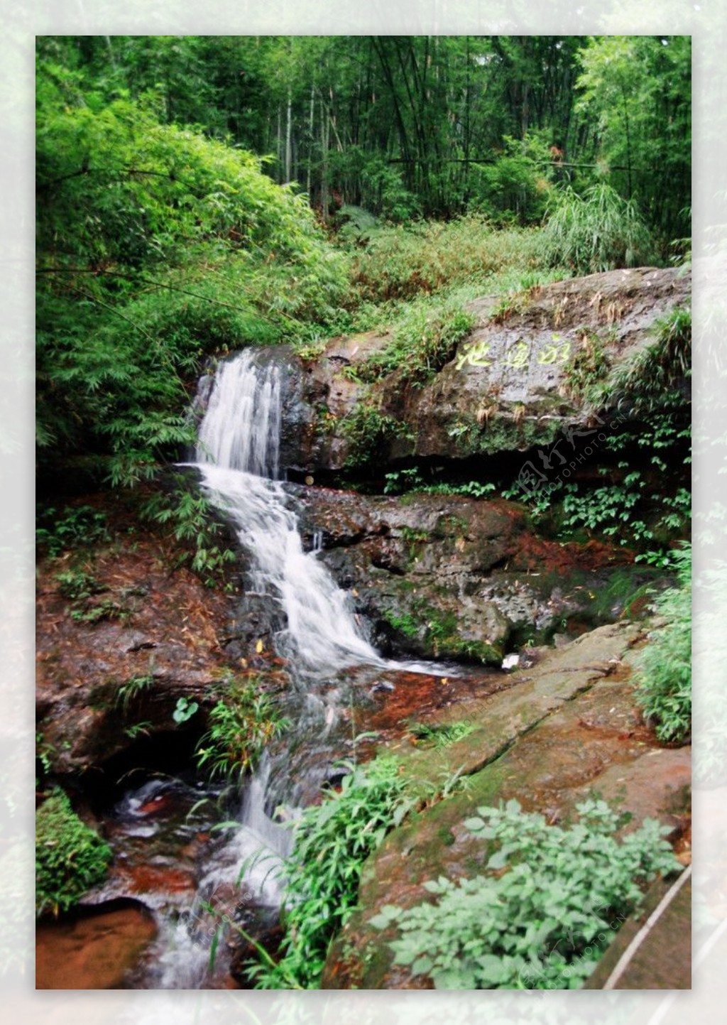 竹林瀑布图片