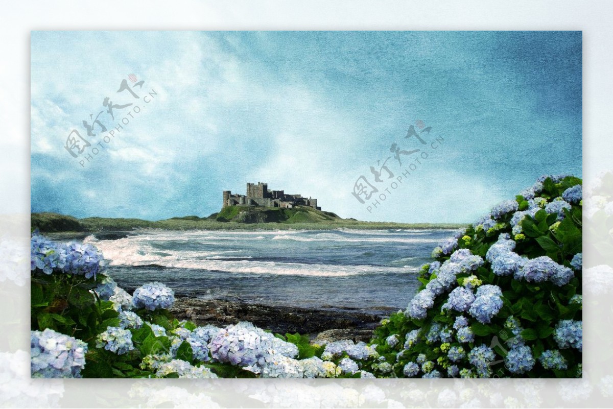 海边城堡和花朵图片