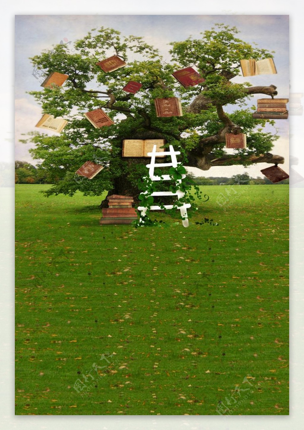挂满书本的大树影楼摄影背景图片