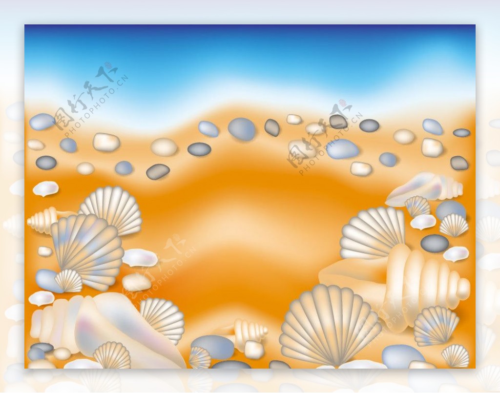 手绘沙滩贝壳石子图片