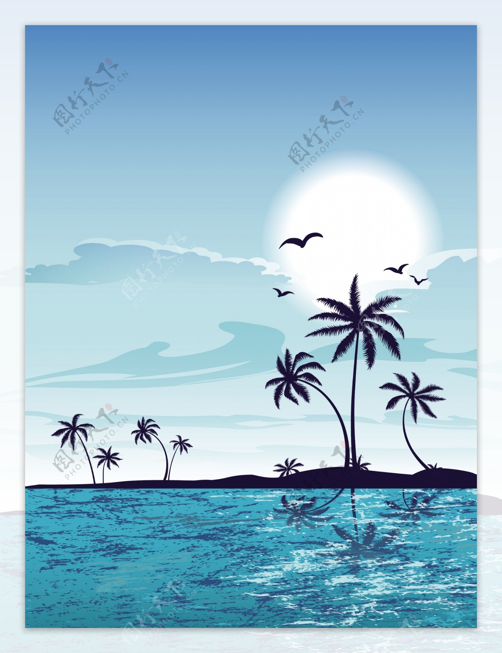 夏日海洋椰子树海鸥图片