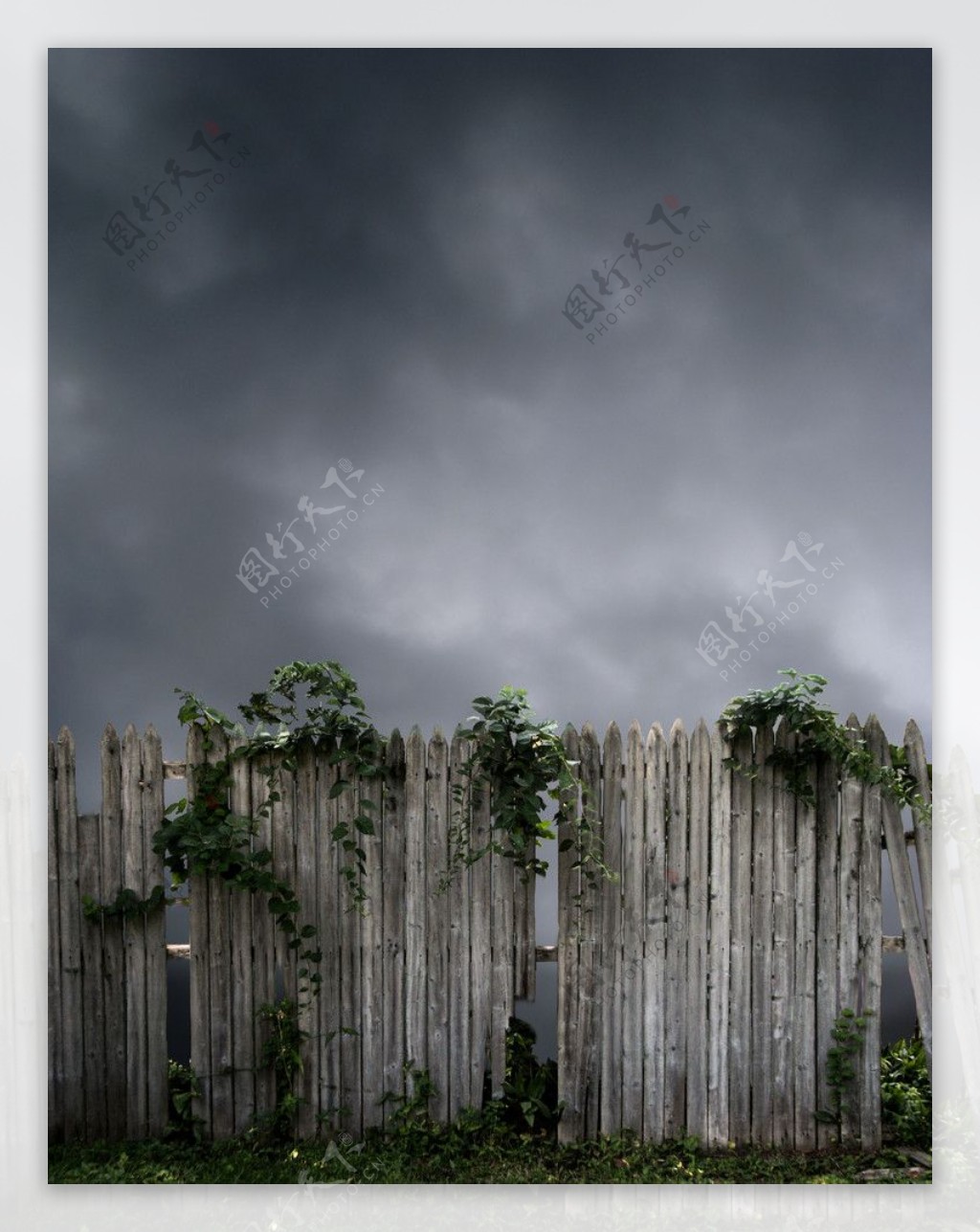 木篱笆图片