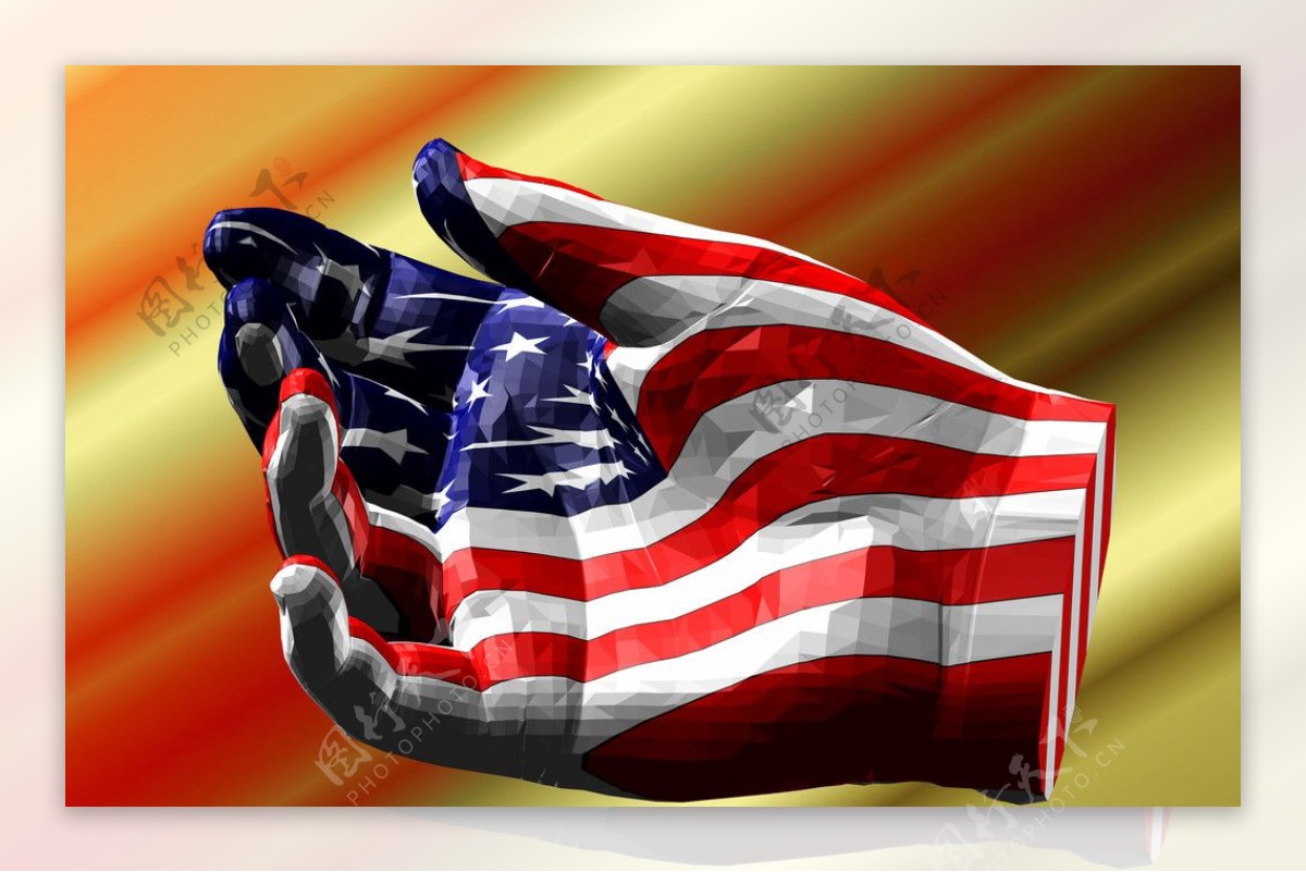 美国国旗手势图片