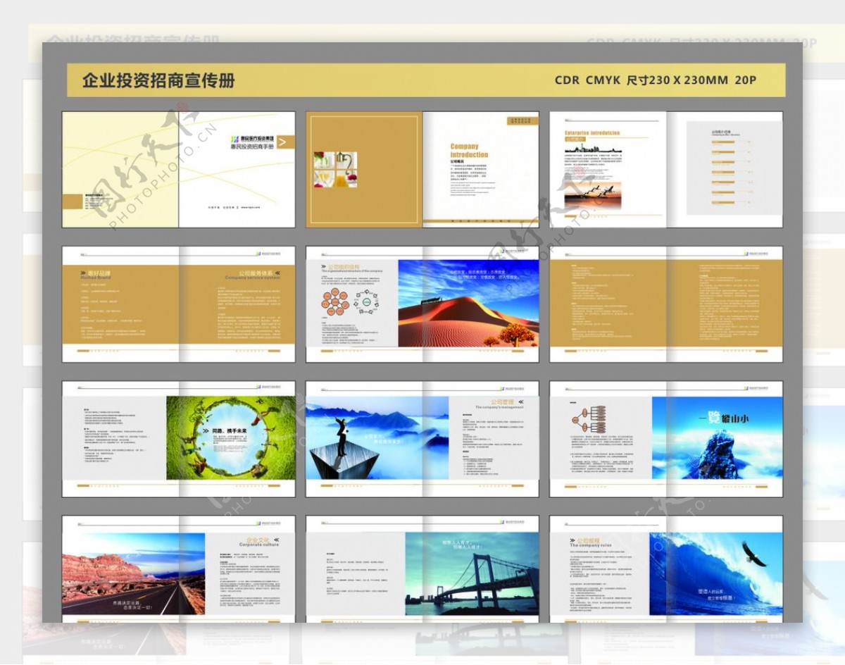 企业投资招商宣传册图片