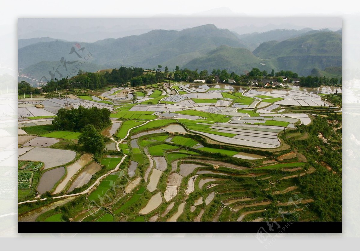 高坡梯田风光图片