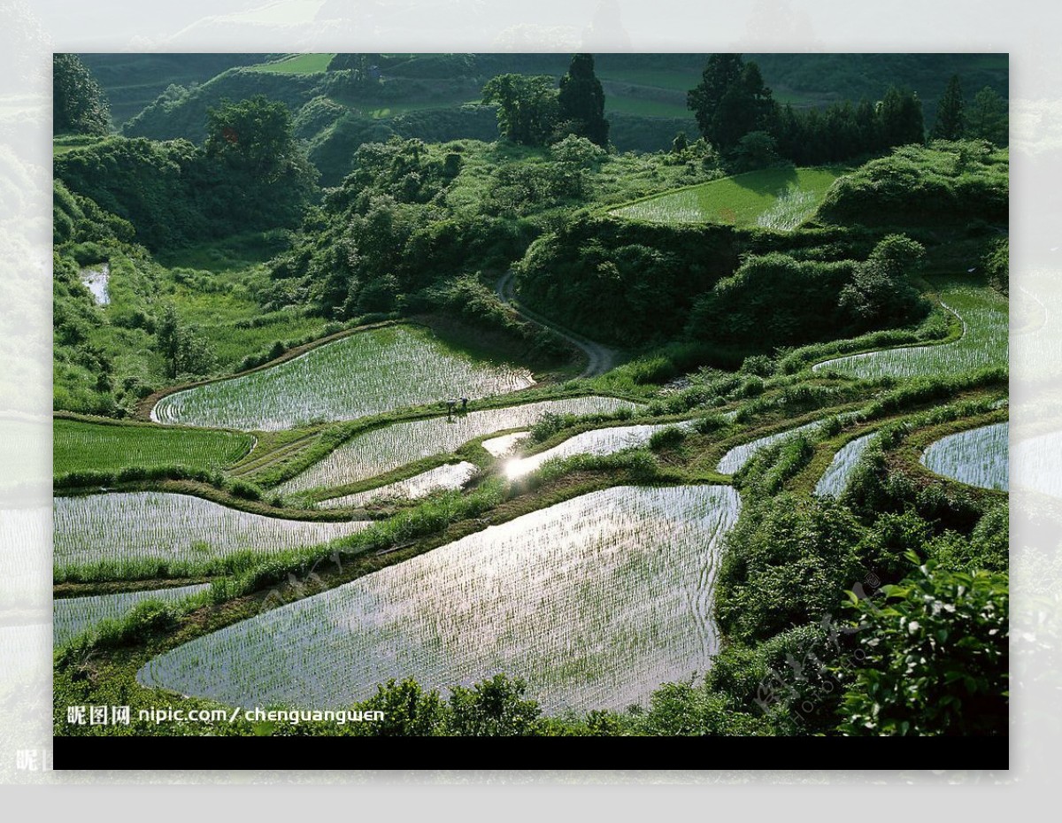 山乡醒来图片