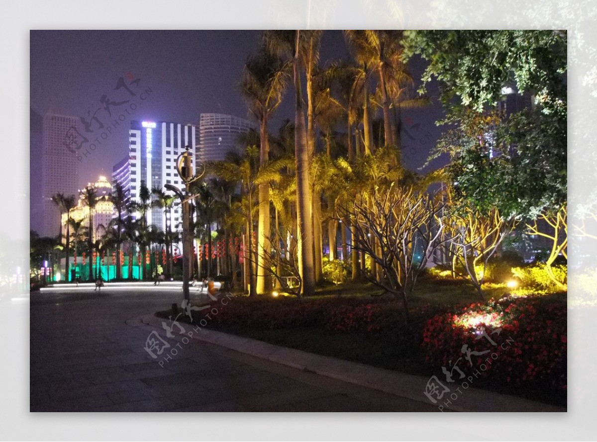 广州花城广场夜景建筑园林摄影图片