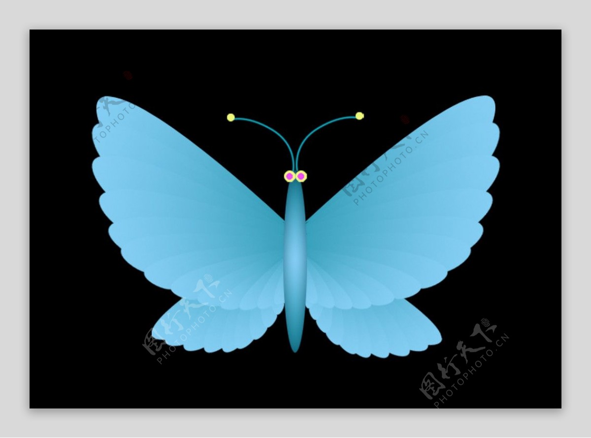 蓝色蝴蝶图片素材-编号13755048-图行天下