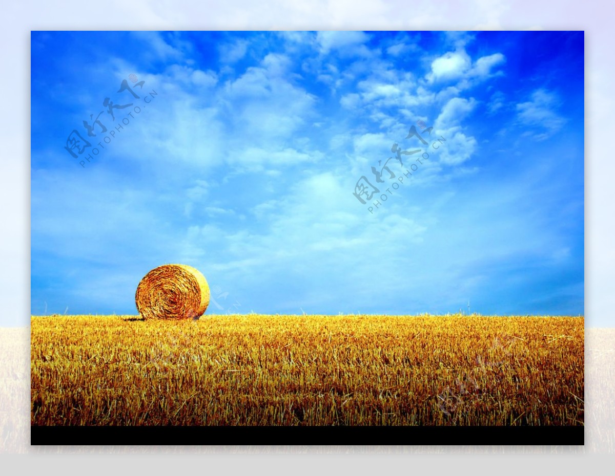 麦场风景图片