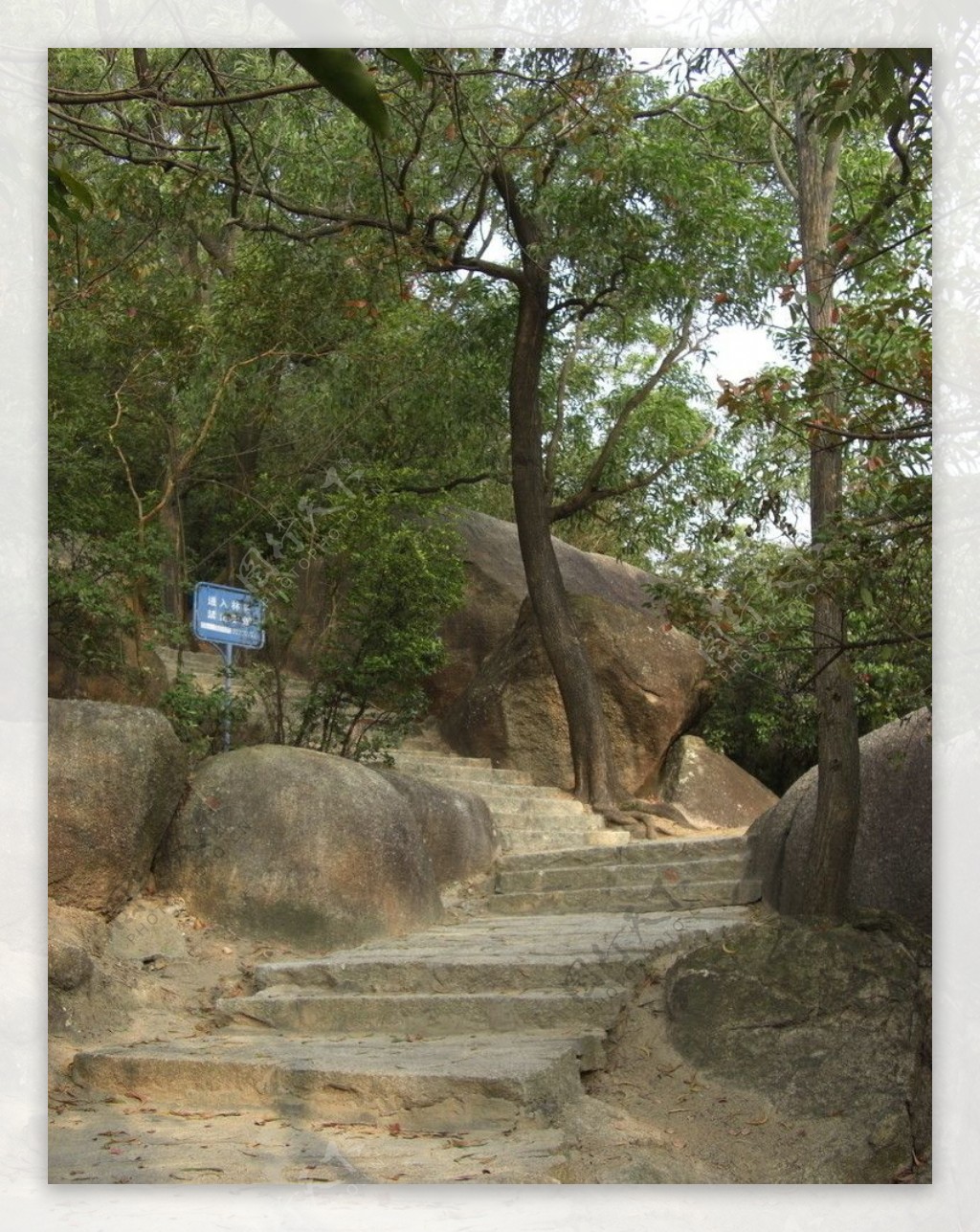 公园小路和路边奇石图片