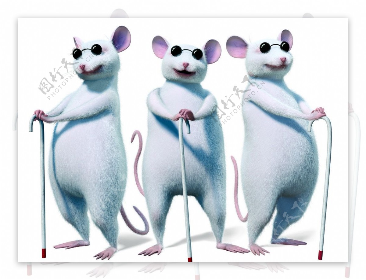 卡通动物老鼠图片