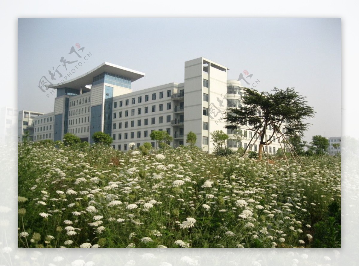 鄂州大学教学楼图片