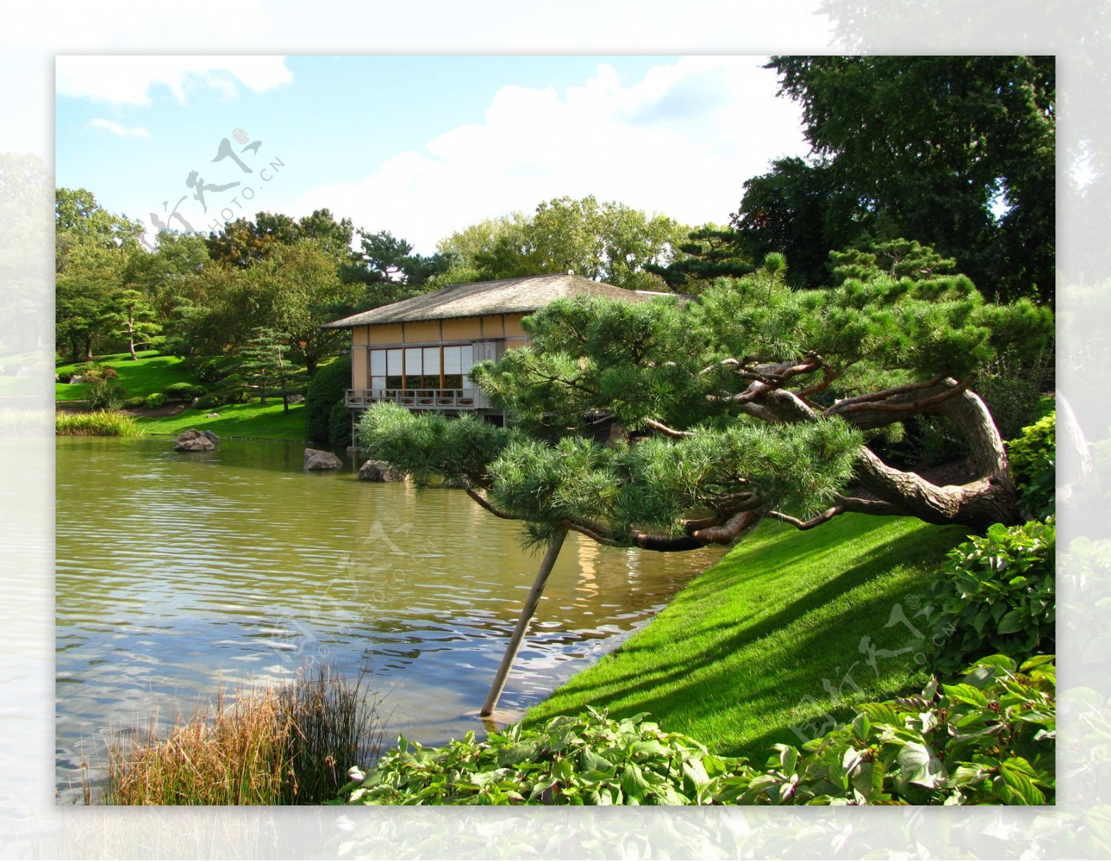 日式庭院图片