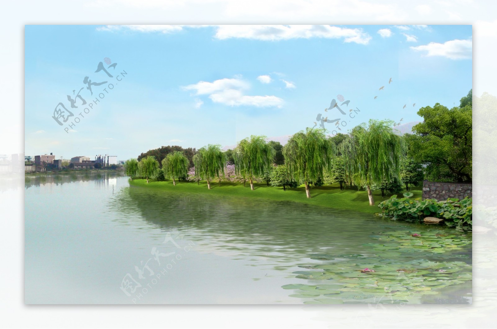 河道绿化图片