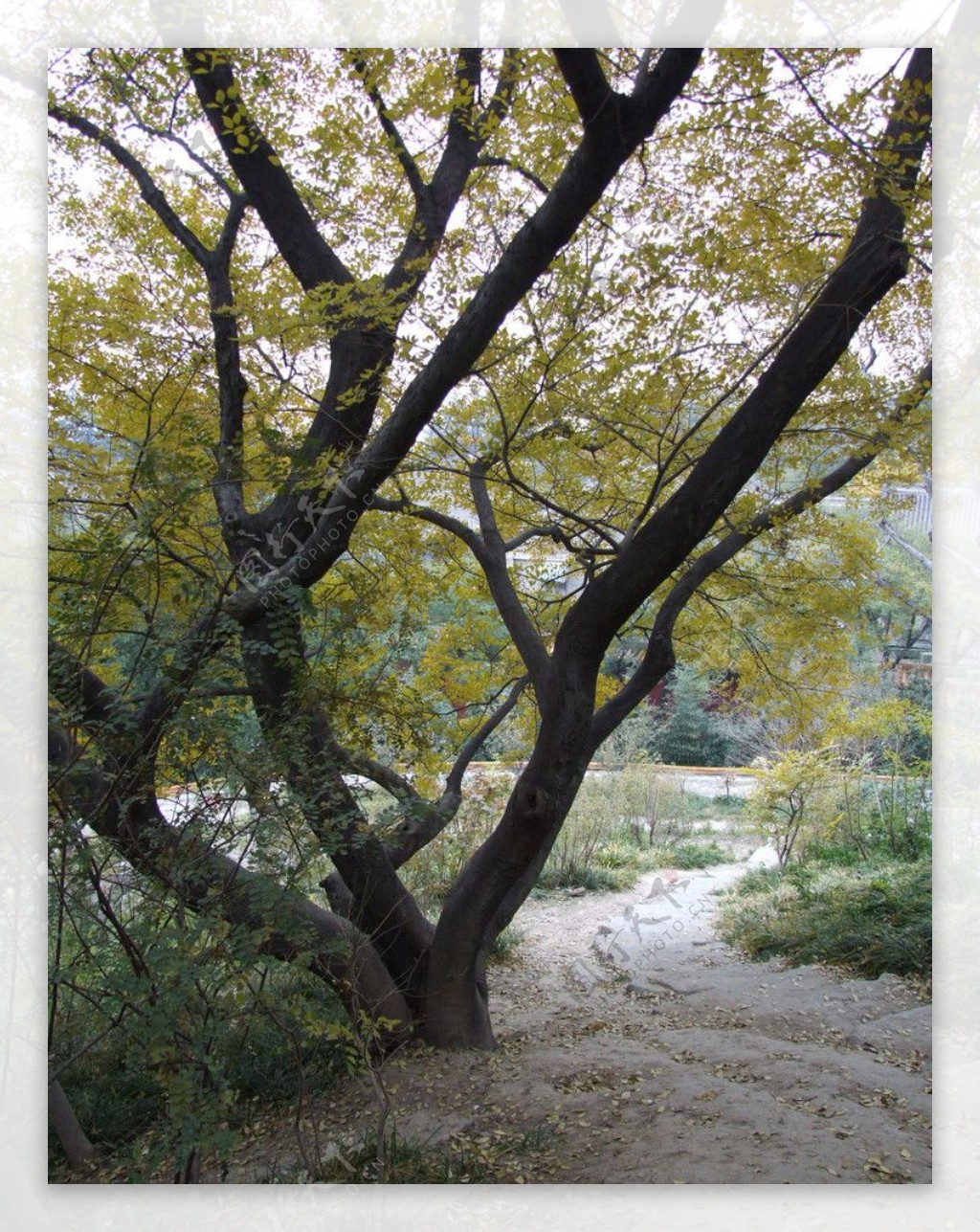 北京景山公园图片