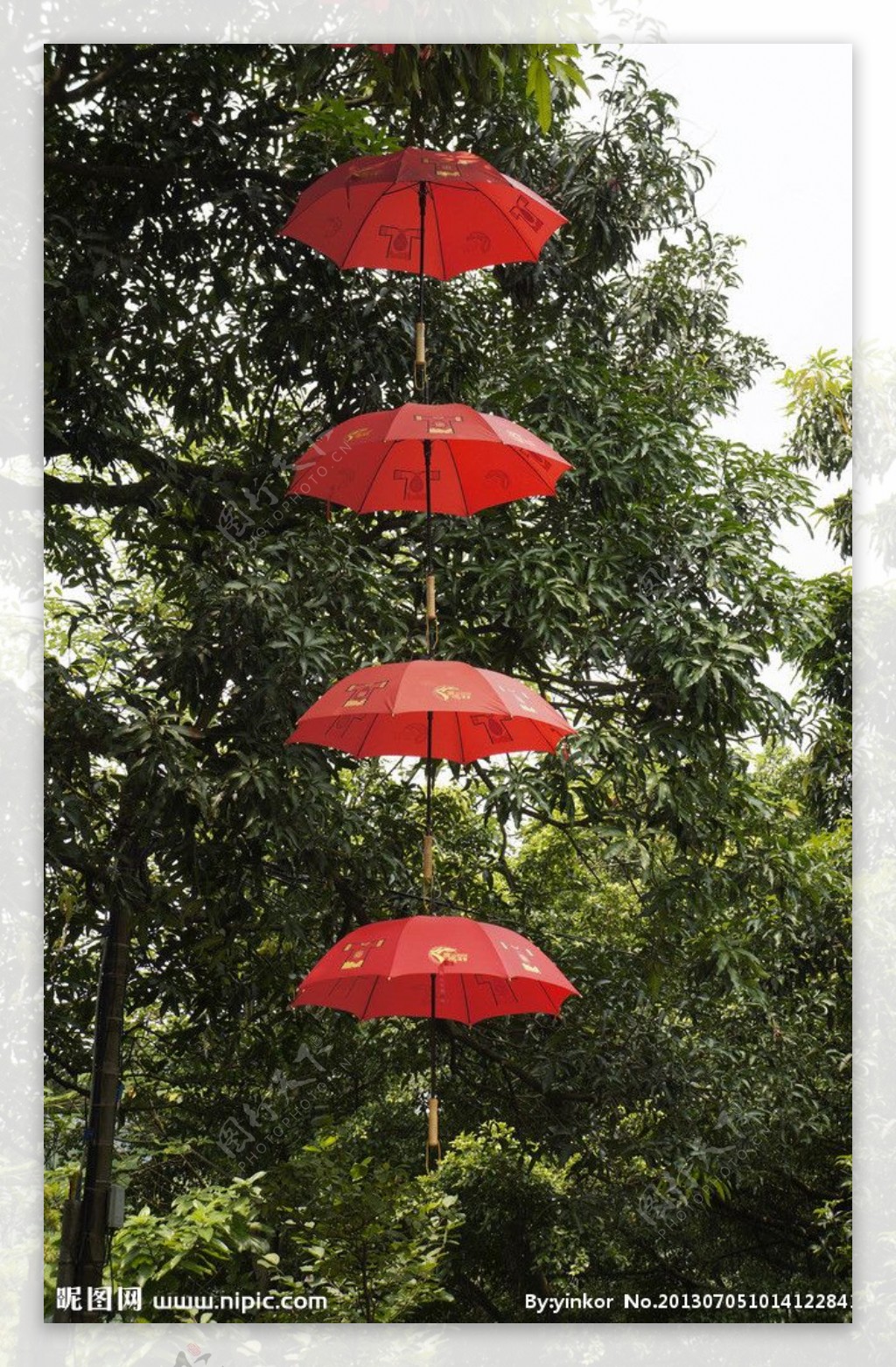 红雨伞图片