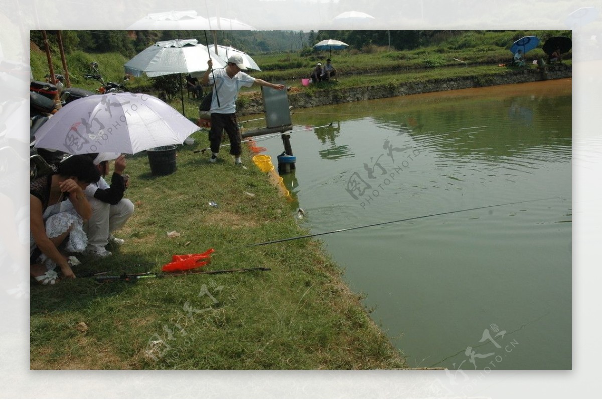 户外运动钓鱼野塘管理池塘钓场山水鱼竿路亚钓图片