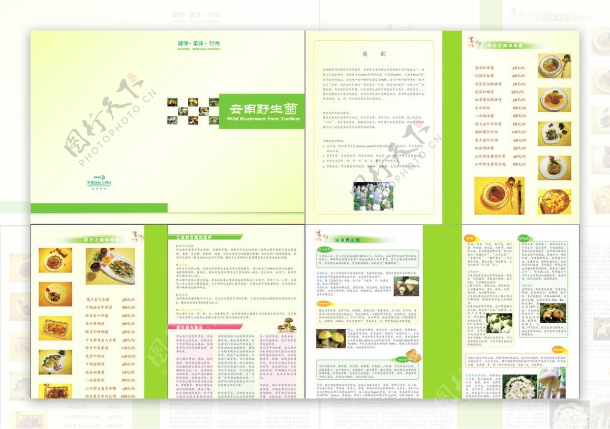 云南野生菌册子图片