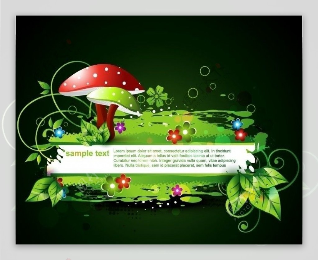 绿色自然蘑菇绿叶花朵水滴水珠图片