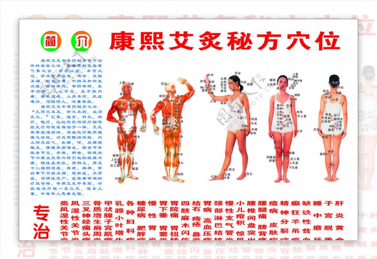 艾炙秘方穴位图片