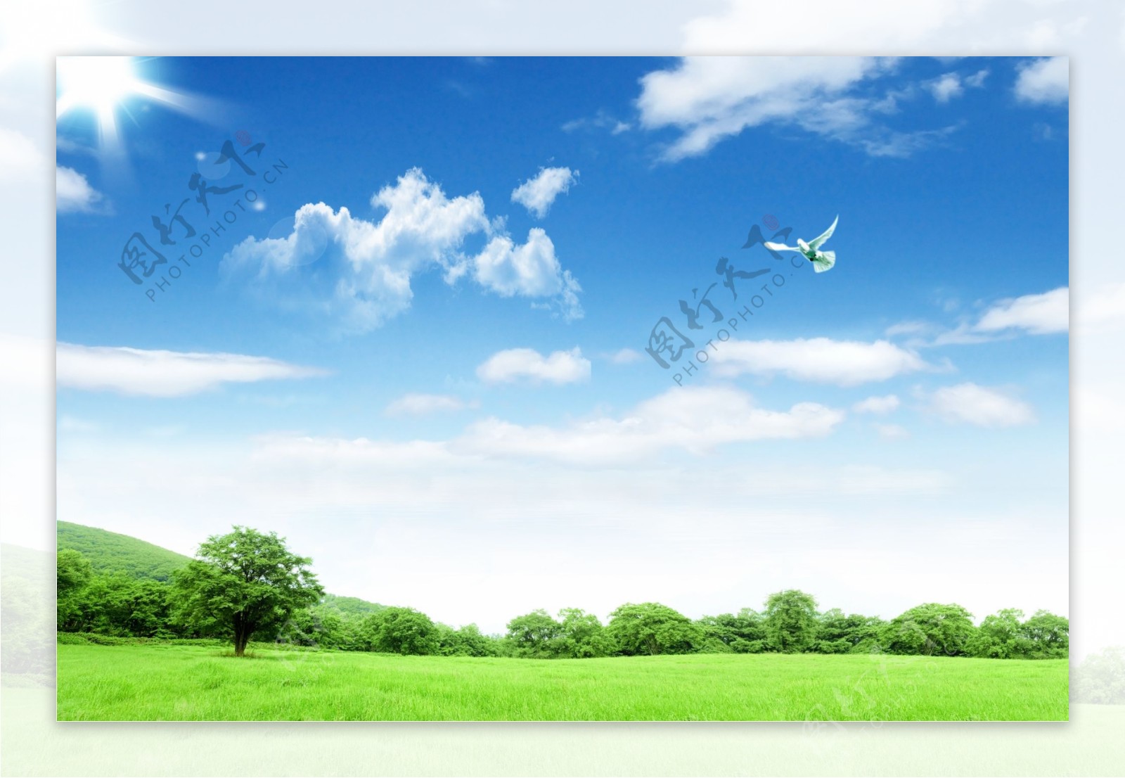 风景蓝天白云绿草森林图片