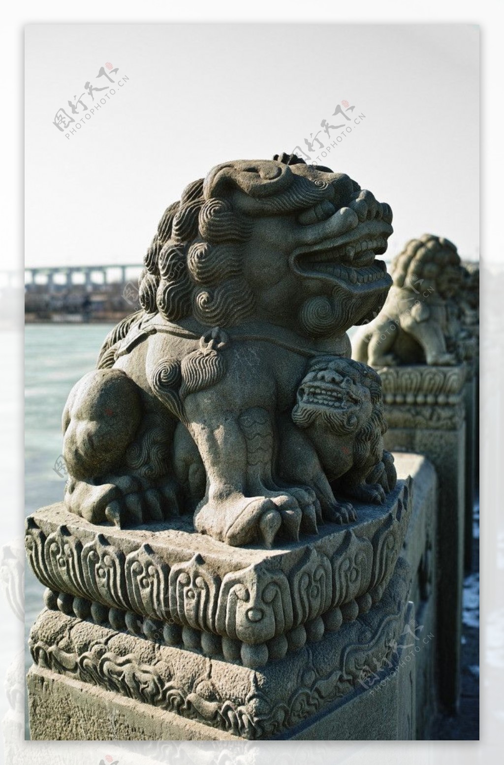 北京卢沟桥石狮图片