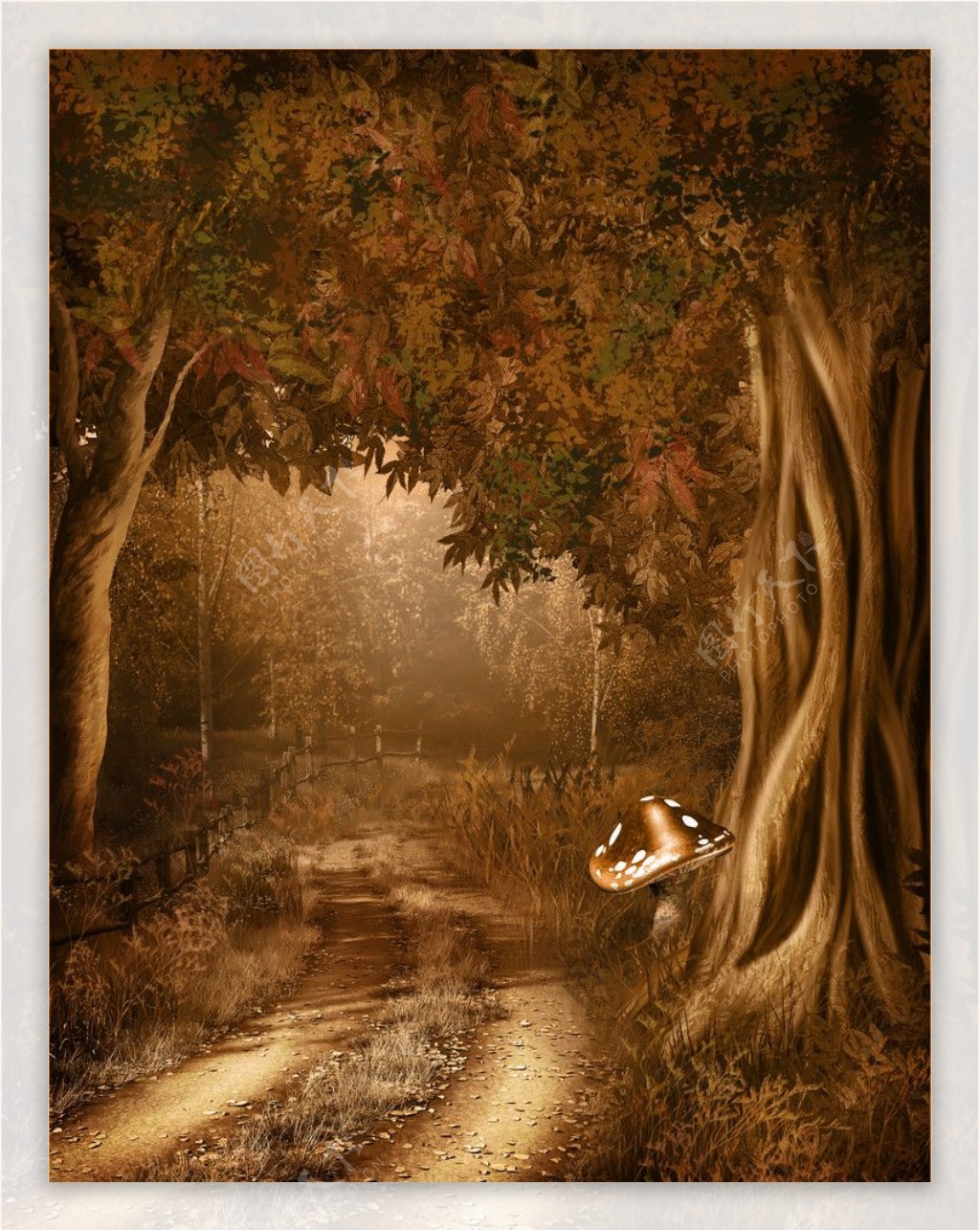 梦幻浪漫秋天背景蘑菇林间小路影楼背景图片