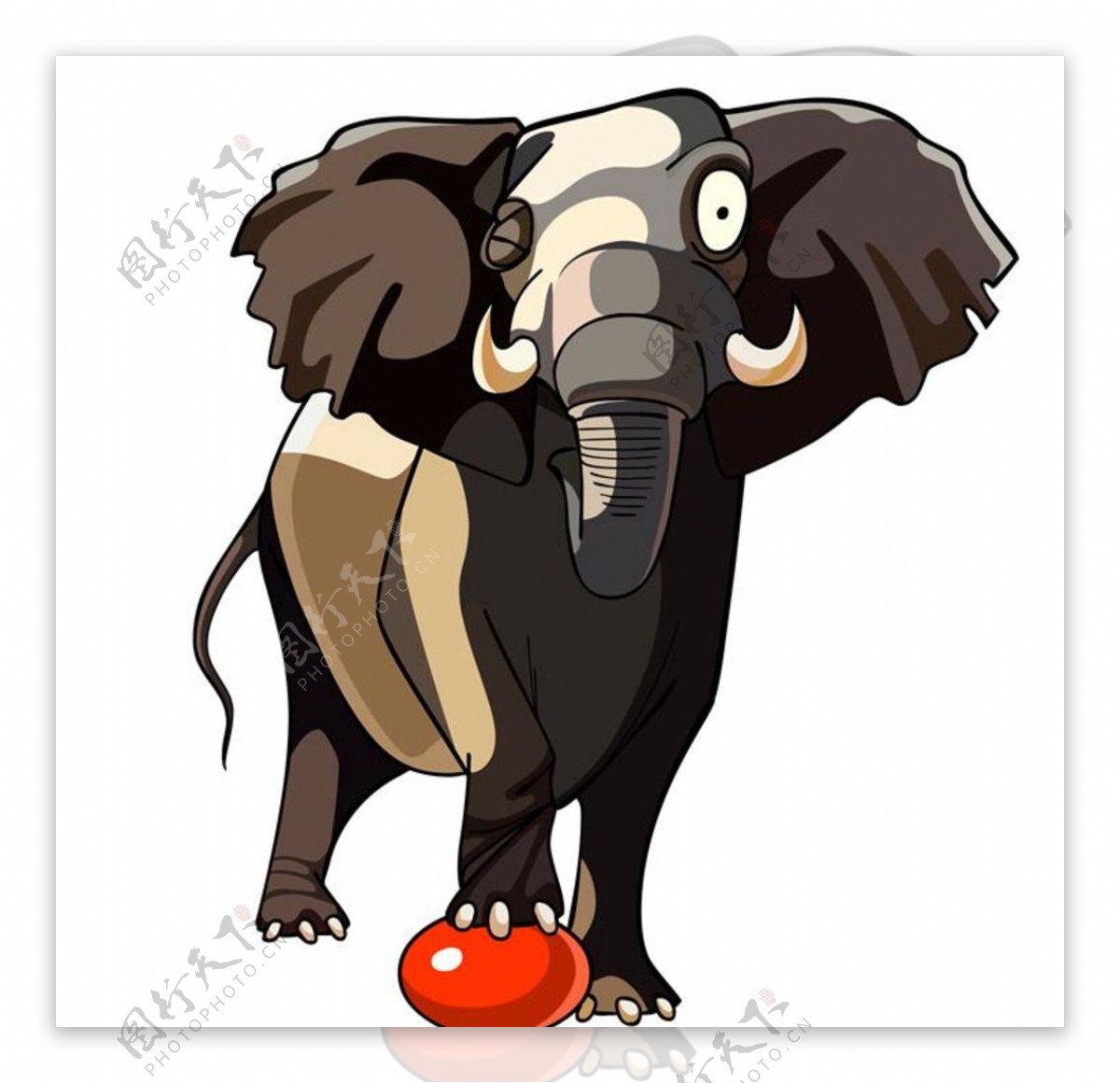 大象卡通动物图片