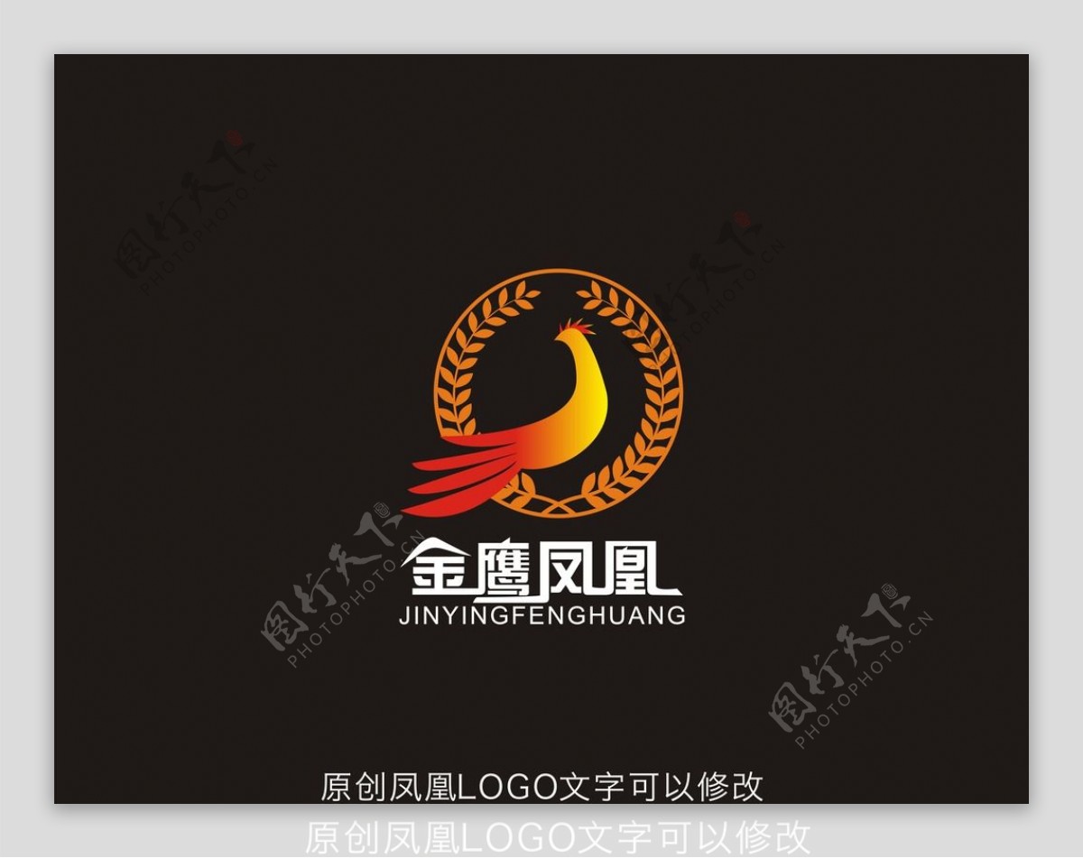 金鹰LOGO设计图片