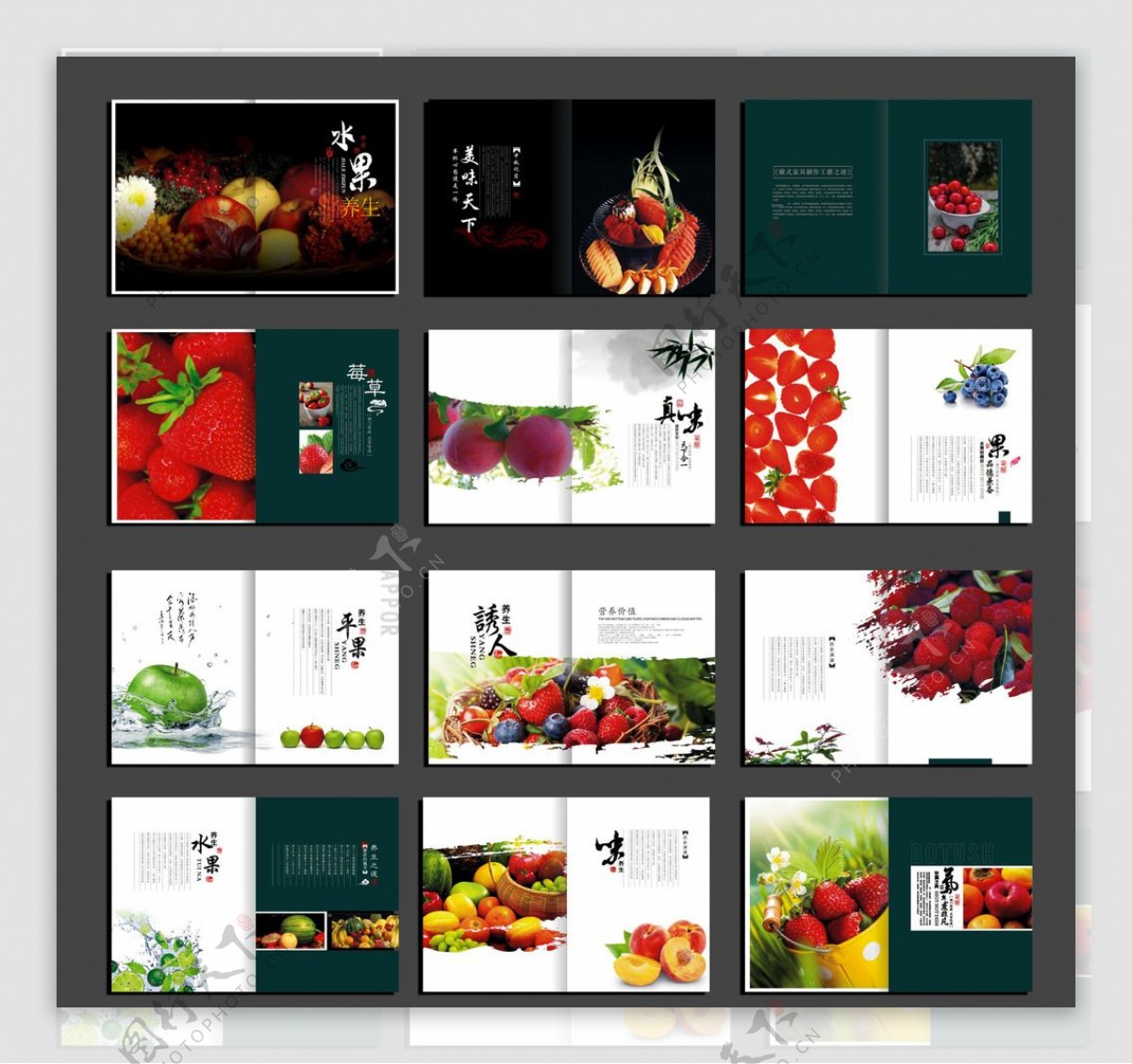 水果画册图片