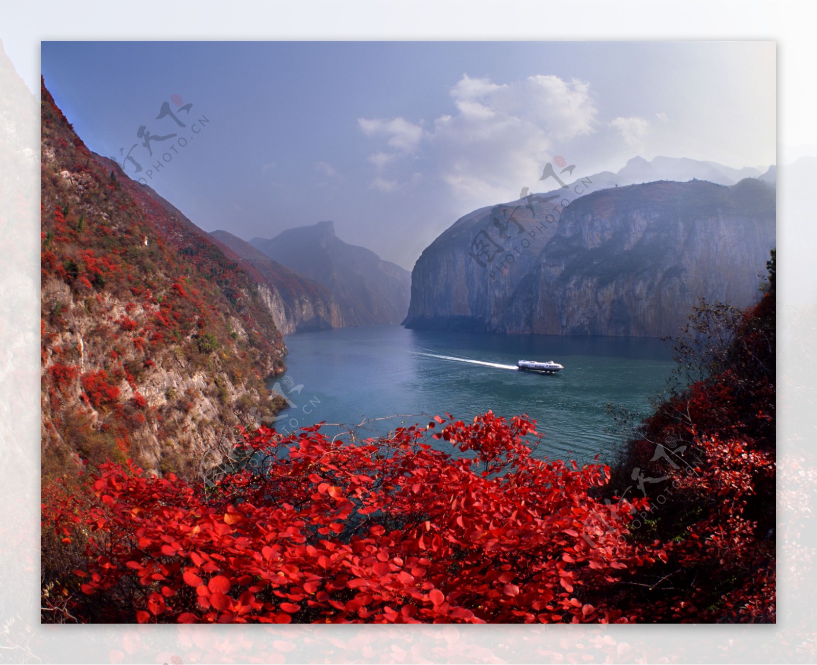 三峡红叶图片
