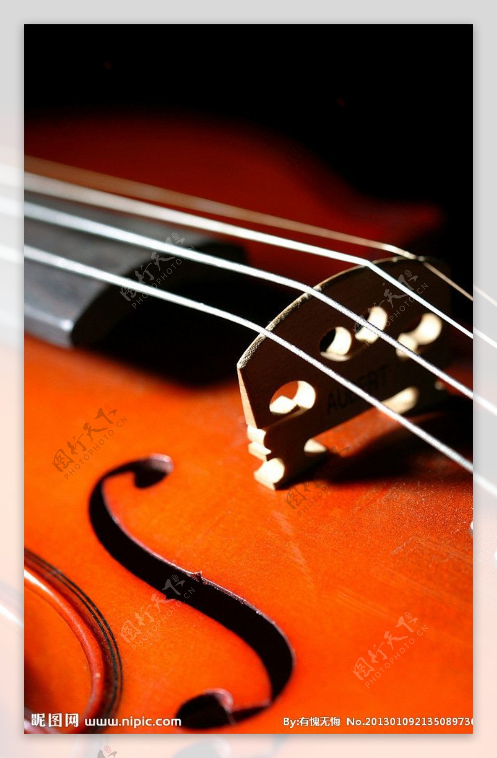 小提琴琴弦图片