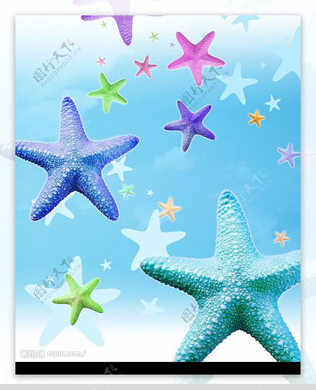 【动漫里的生物趣事】色彩斑斓的海中星星（派大星&海星星） - 知乎