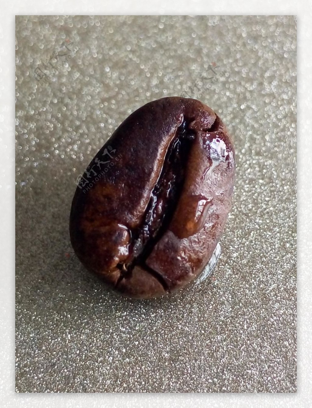 沾水咖啡豆微距特写图片