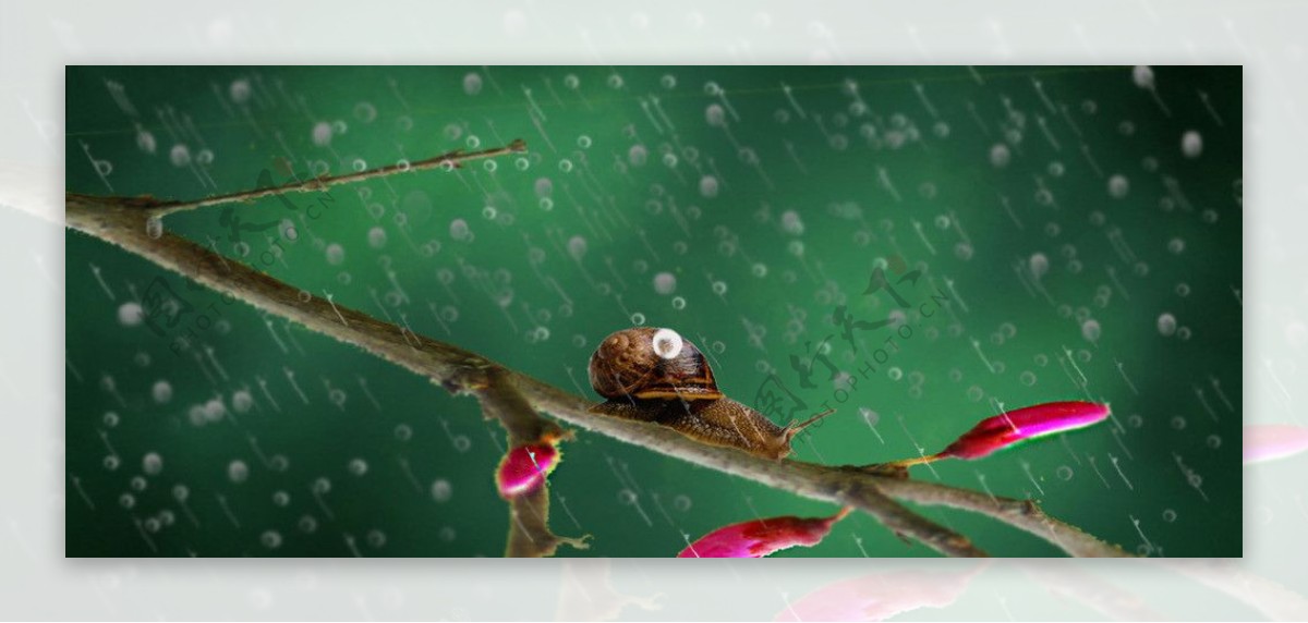 下雨效果图片