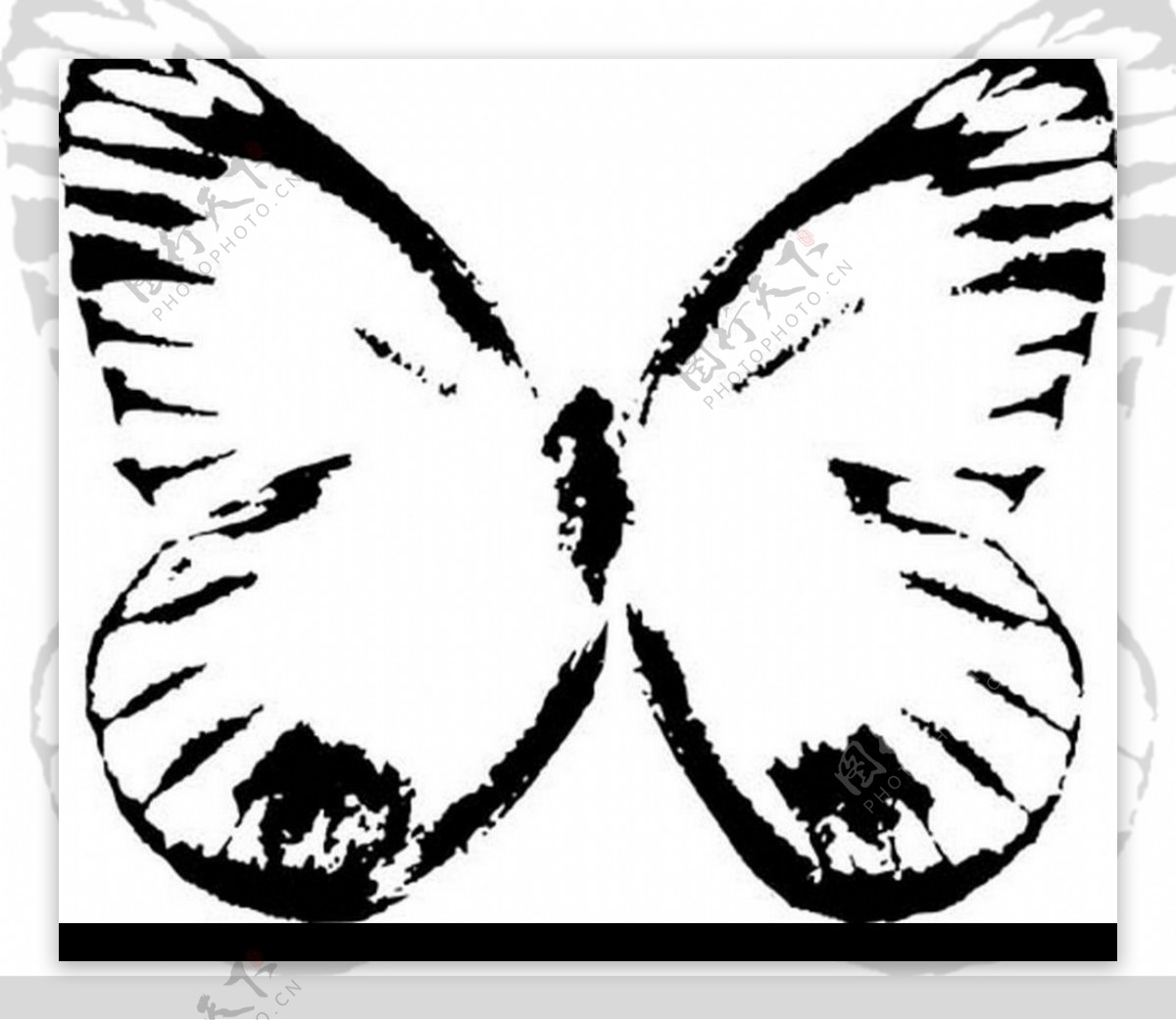 蝴蝶的素材图片