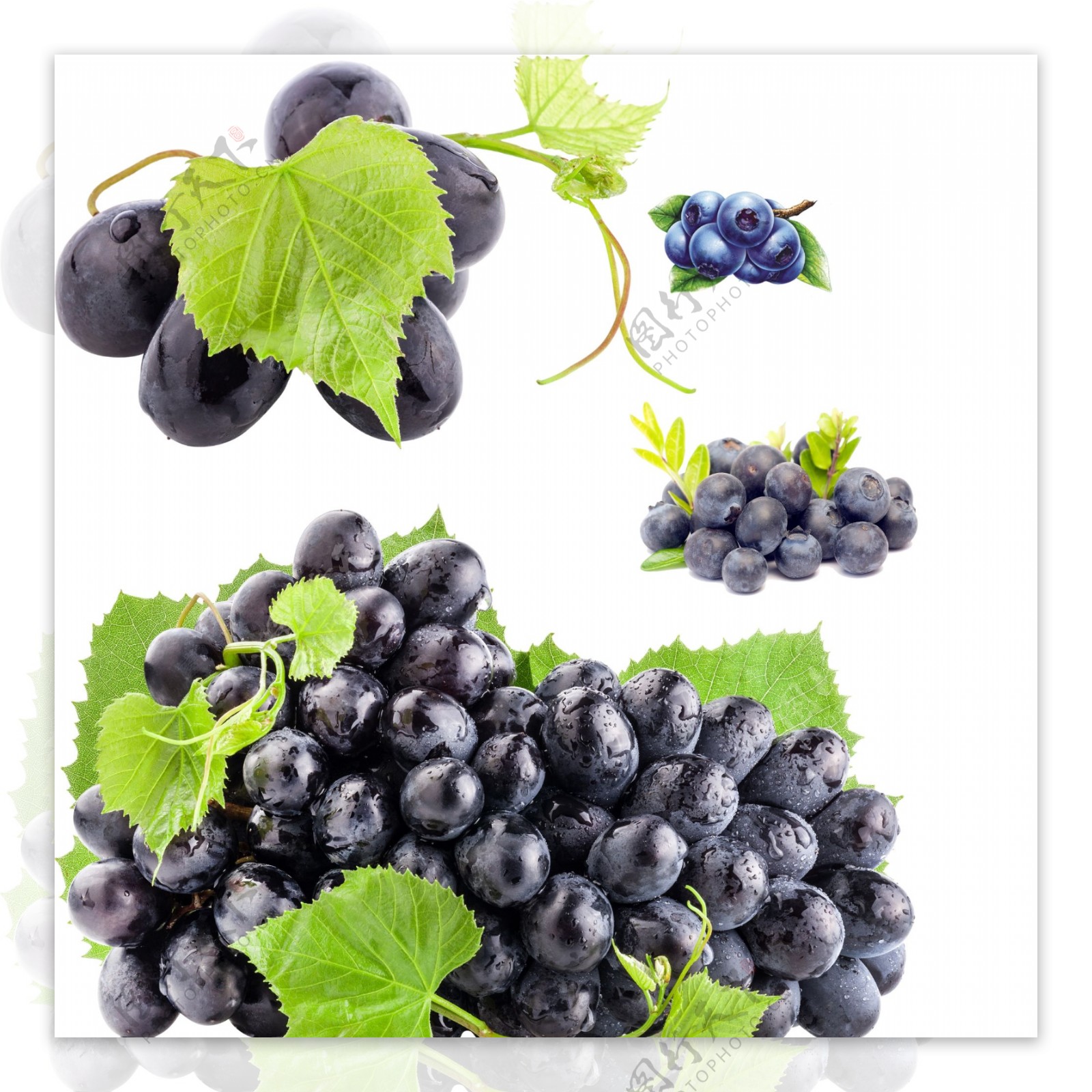 蓝莓葡萄图片