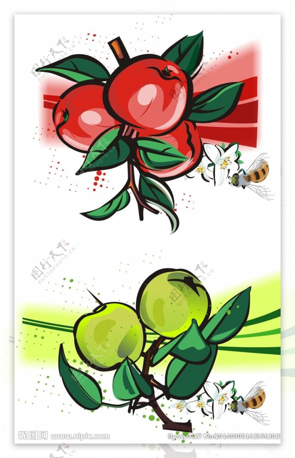 苹果蜜蜂花朵矢量素材图片
