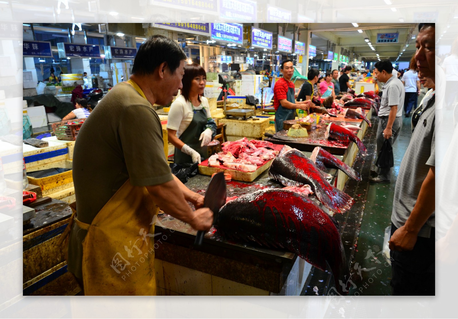 湛江海鲜市场写实图片