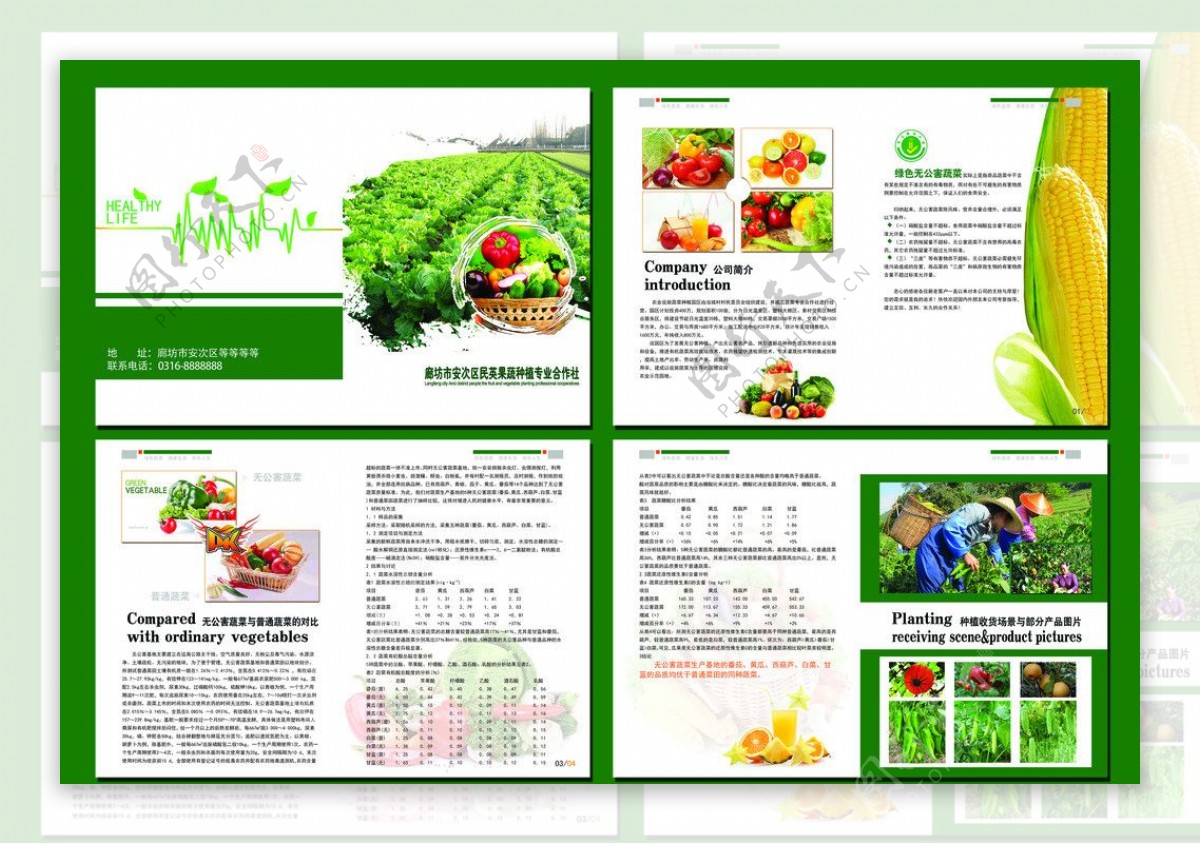 水果蔬菜宣传册图片