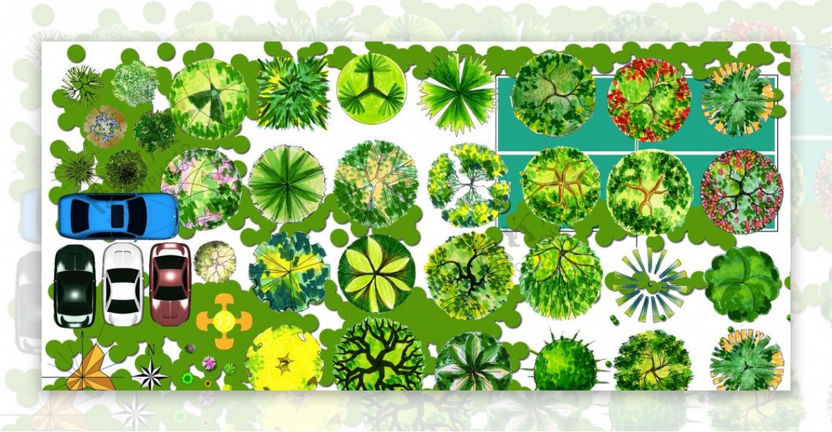 彩平植物素材图片