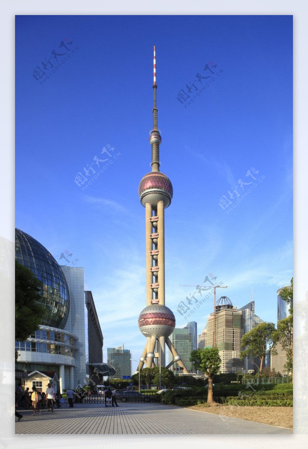 上海电视塔图片