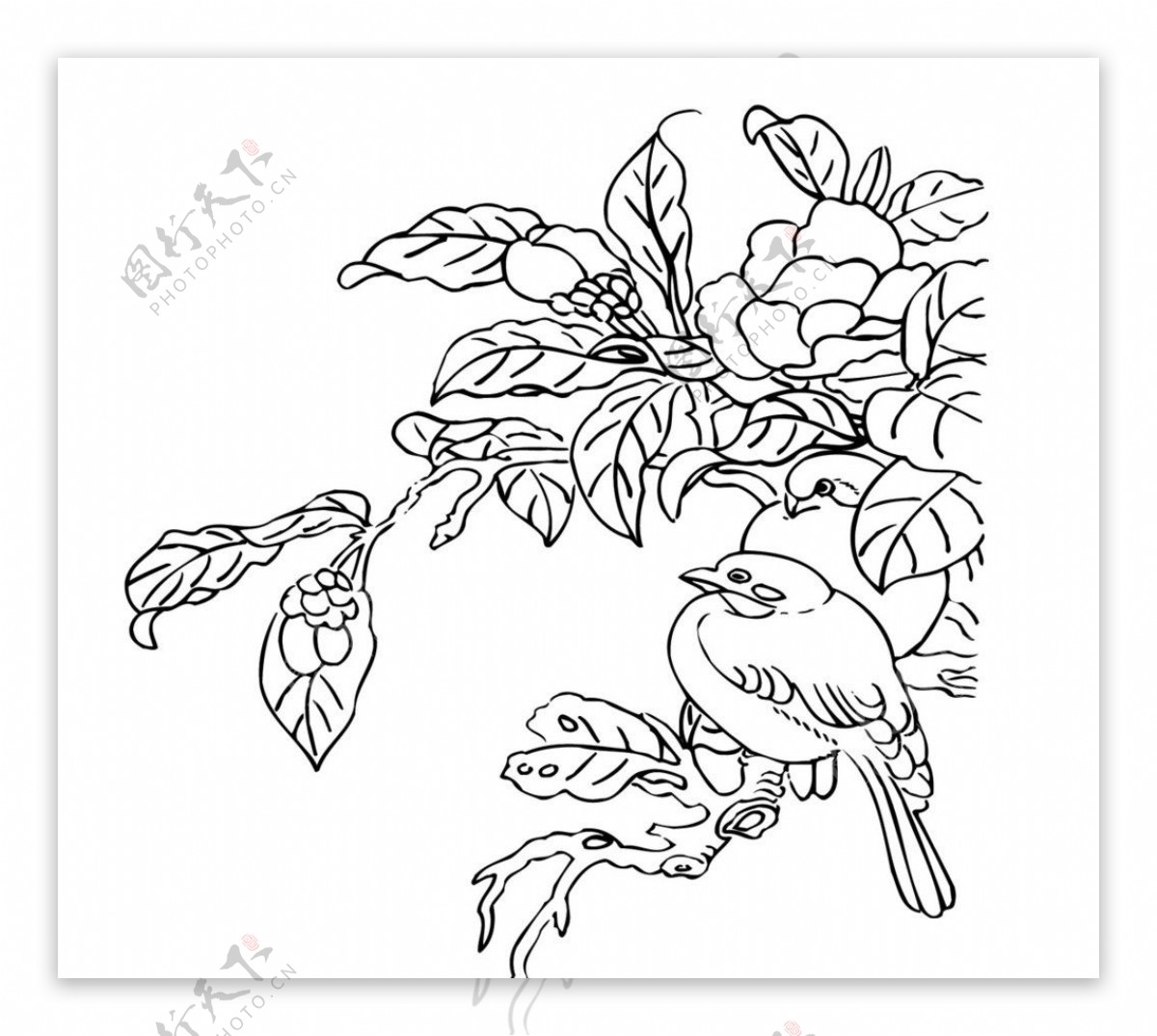 刺绣花鸟图片
